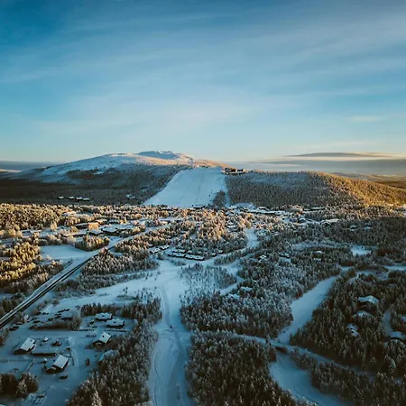 Alppitaehti, Hilla ليفي