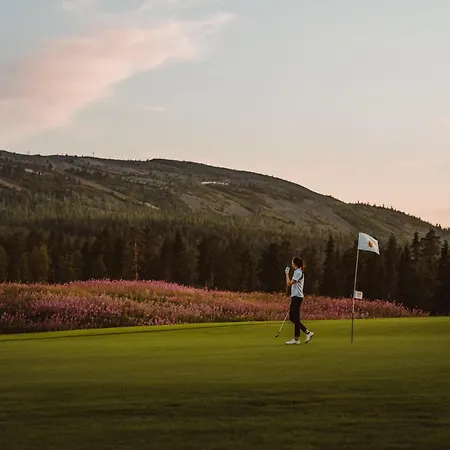 Διαμέρισμα Alppitaehti, Hilla