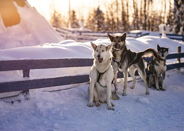 Alppitaehti, Hilla Διαμέρισμα Levi