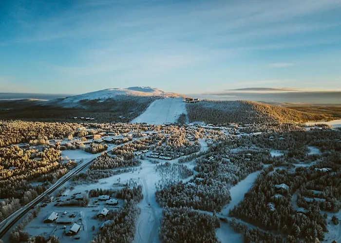 Alppitaehti, Hilla Levi