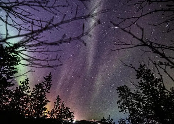 Alppitaehti, Hilla Levi