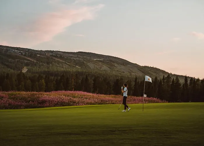 Διαμέρισμα Alppitaehti, Hilla